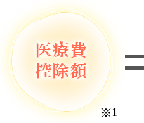 医療費控除額