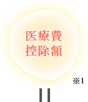 医療費控除額