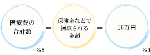 医療費の合計額 保険金などで補填される金額 10万円
